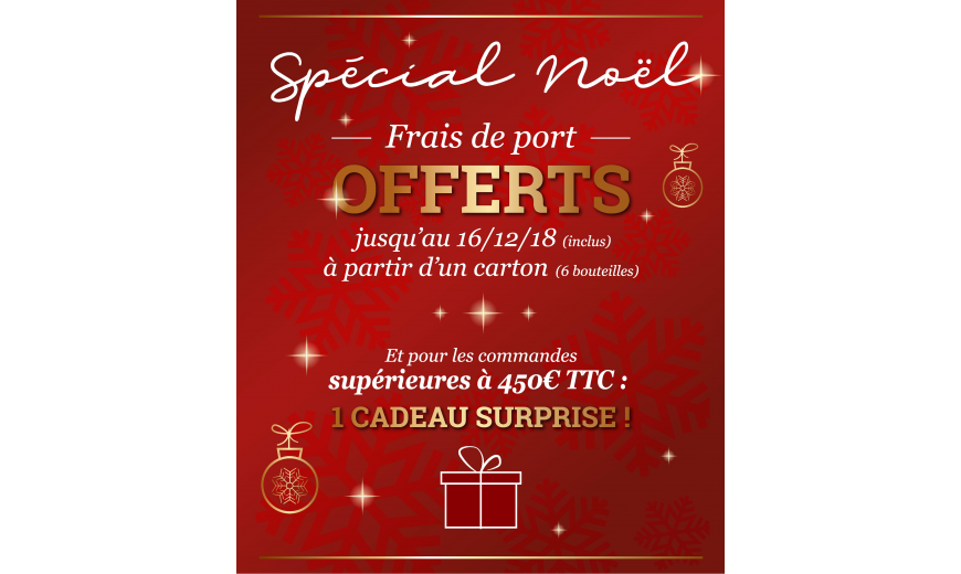 OFFRE SPECIAL NOËL